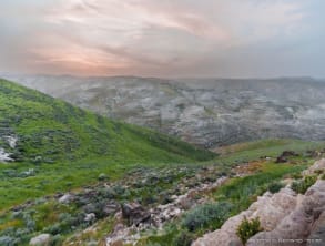 מוזה%20צימר%20,%20כפר%20אדומים